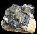 Cerussite Crystals on Galena - Morocco #44771-1